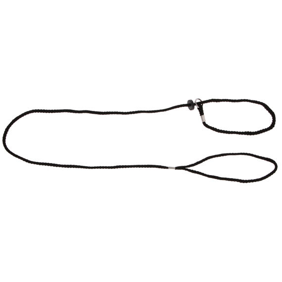 Výstavní vodítko s obojkem pro psy, 6 mm x 125 cm, černé