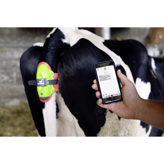 MOOCALL alarm pro krávy