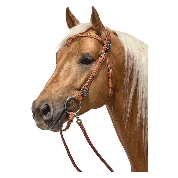 Uzdečka westernová LproWest Black Rose