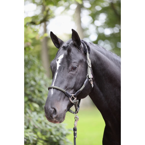 Ohlávka nylonová Covalliero Cordano, khaki