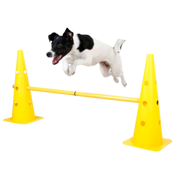 Set agility překážek pro psy, žlutý