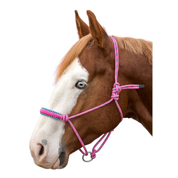 Ohlávka provazová LproWest Bicolor, růžovo-tyrkysová