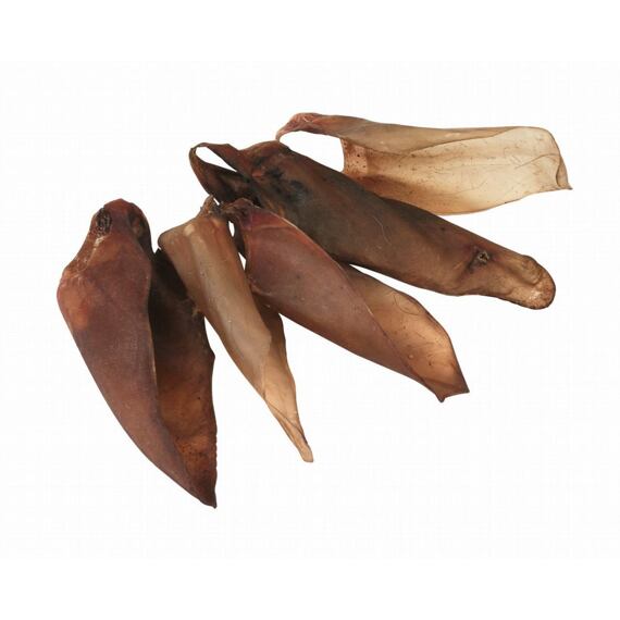 Sušené hovězí uši pro psy
