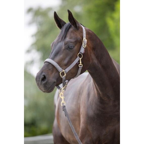 Ohlávka nylonová Covalliero Classy, šedá