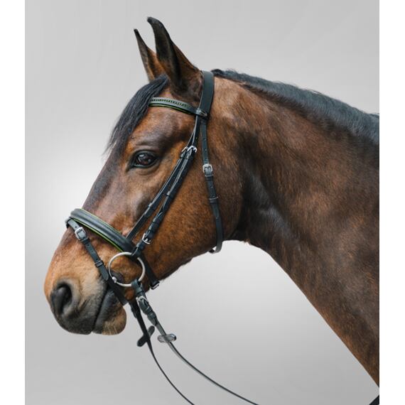 Kožená uzdečka STAR Diamant, zelená, vel. Shetty