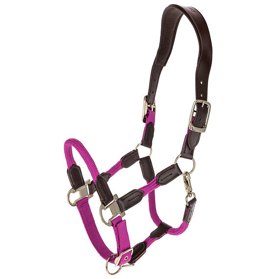 Ohlávka Cordano Deluxe Covalliero S/S 2026 light berry