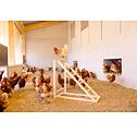 Dřevěná věž s houpačkou pro drůbež, 85 x 55 x 76 cm