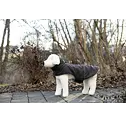 Kabát pro psy Montreal, šedý