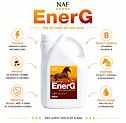 NAF EnerG s železem pro maximální využití energie, 2 l