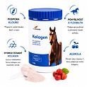 VitaEmote Kolagen 1 kg