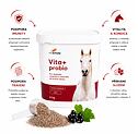 VitaEmote Vita+Probio 6 kg