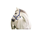 Ohlávka nylonová Covalliero Mustang, modrá/černá