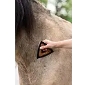 Magic Brush triangle