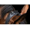 Uzdečka kožená Covalliero Anatomic, černá