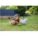 Síť pro drůbež PoultryNet Premium, vodivá, výška 122 cm, délka 50 m, dvojitý hrot, zelená