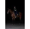 LED svítící obojek, žlutý