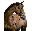 Uzdečka kožená Covalliero Classic, hnědá, vel. Full