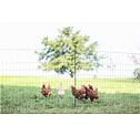 Síť pro drůbež PoultryNet Premium, vodivá, výška 122 cm, délka 50 m, dvojitý hrot, zelená